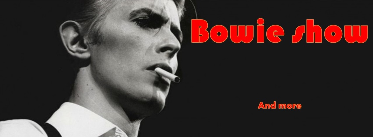 Bowie tribute soloartiest.nl